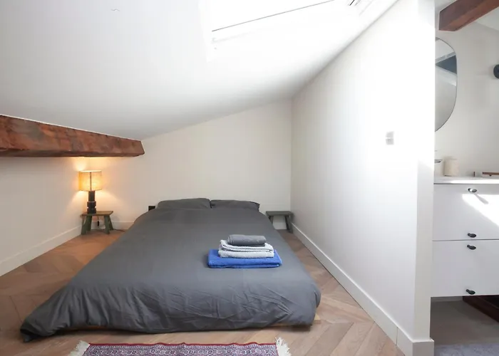Appartement Duplex Zen Avec 2 Paris